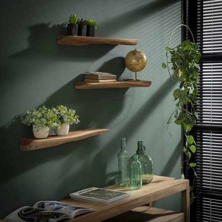 Wandplank 'Erica' Boomstam, Set van 3 stuks