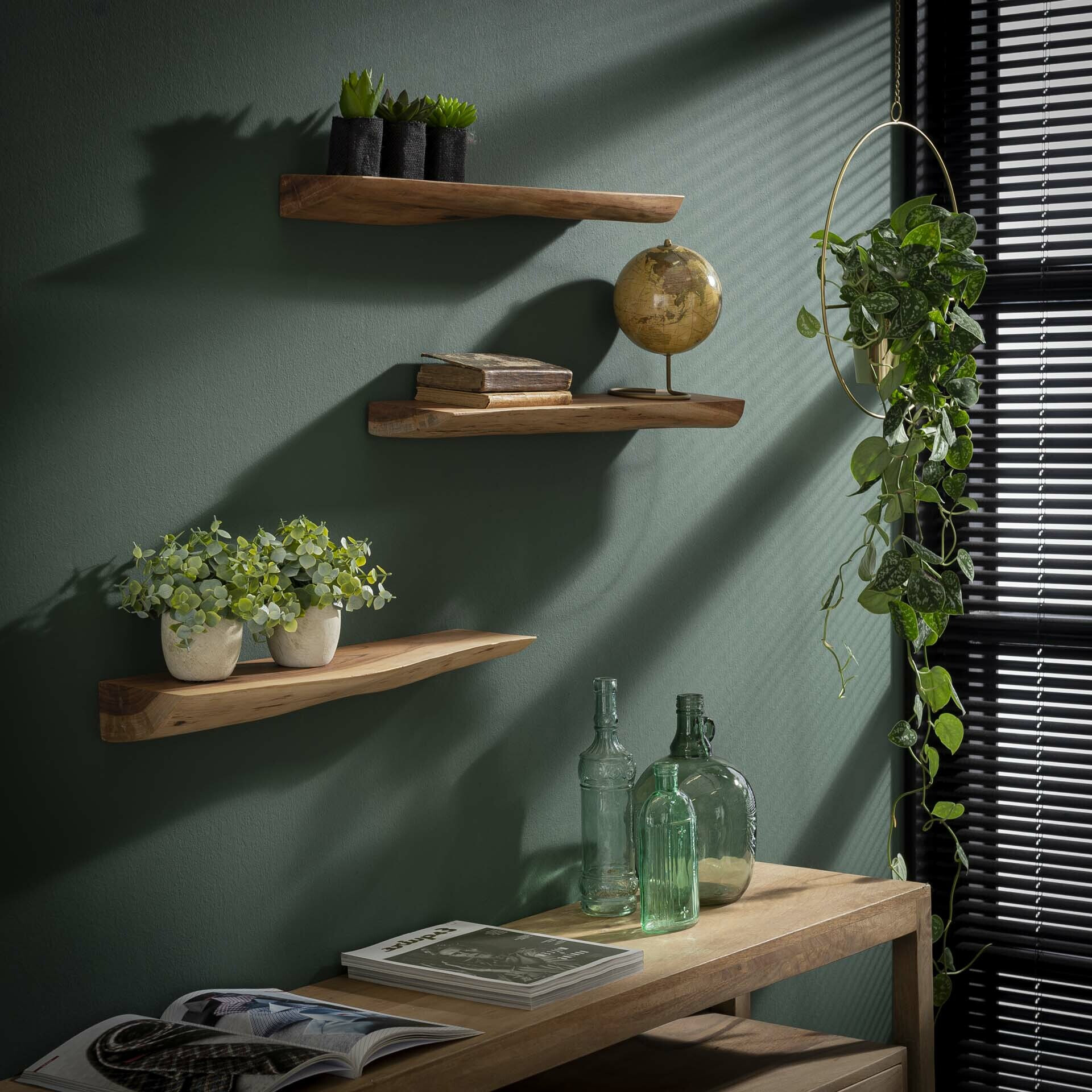 Wandplank 'Erica' Boomstam, Set van 3 stuks