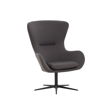 Fauteuil Willem Donkergrijs