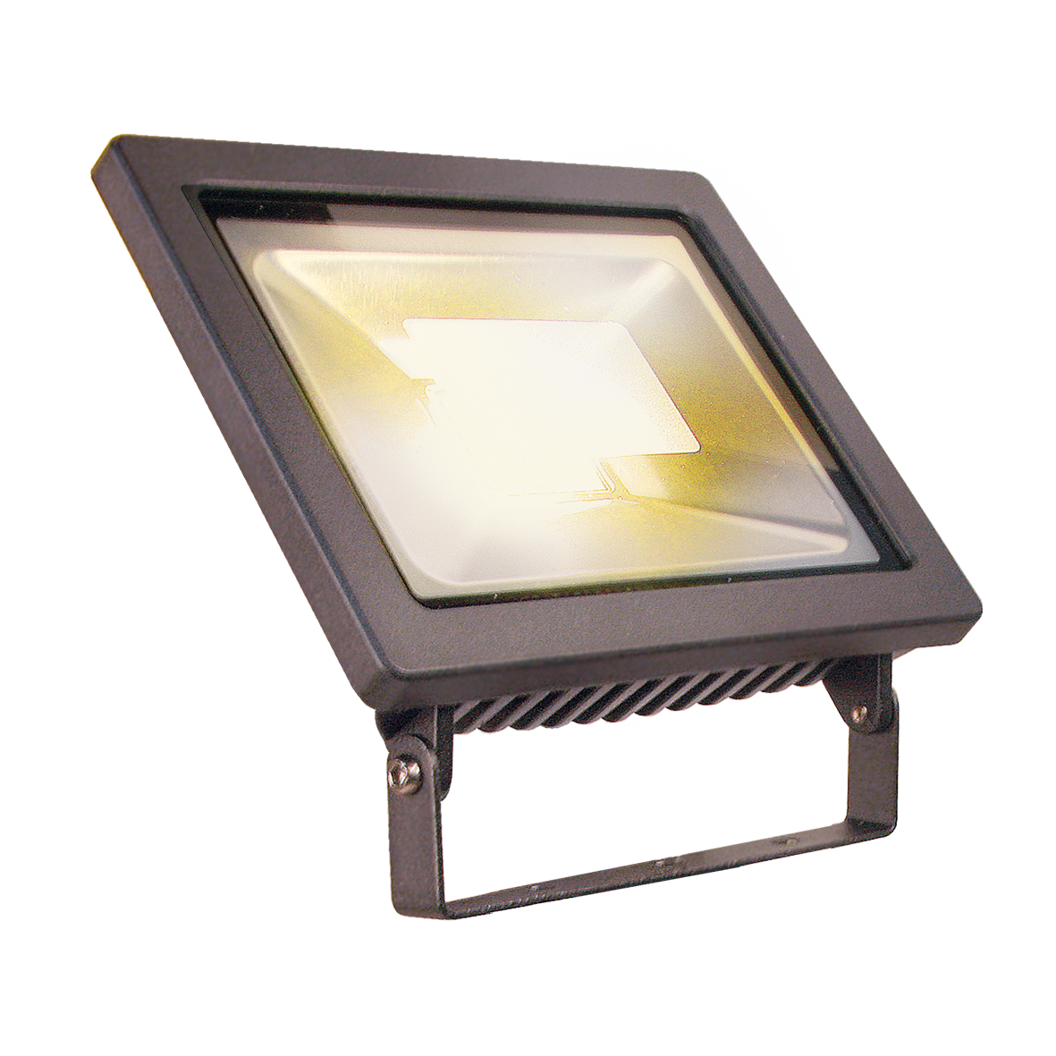 Schijnwerper 12 volt Flood