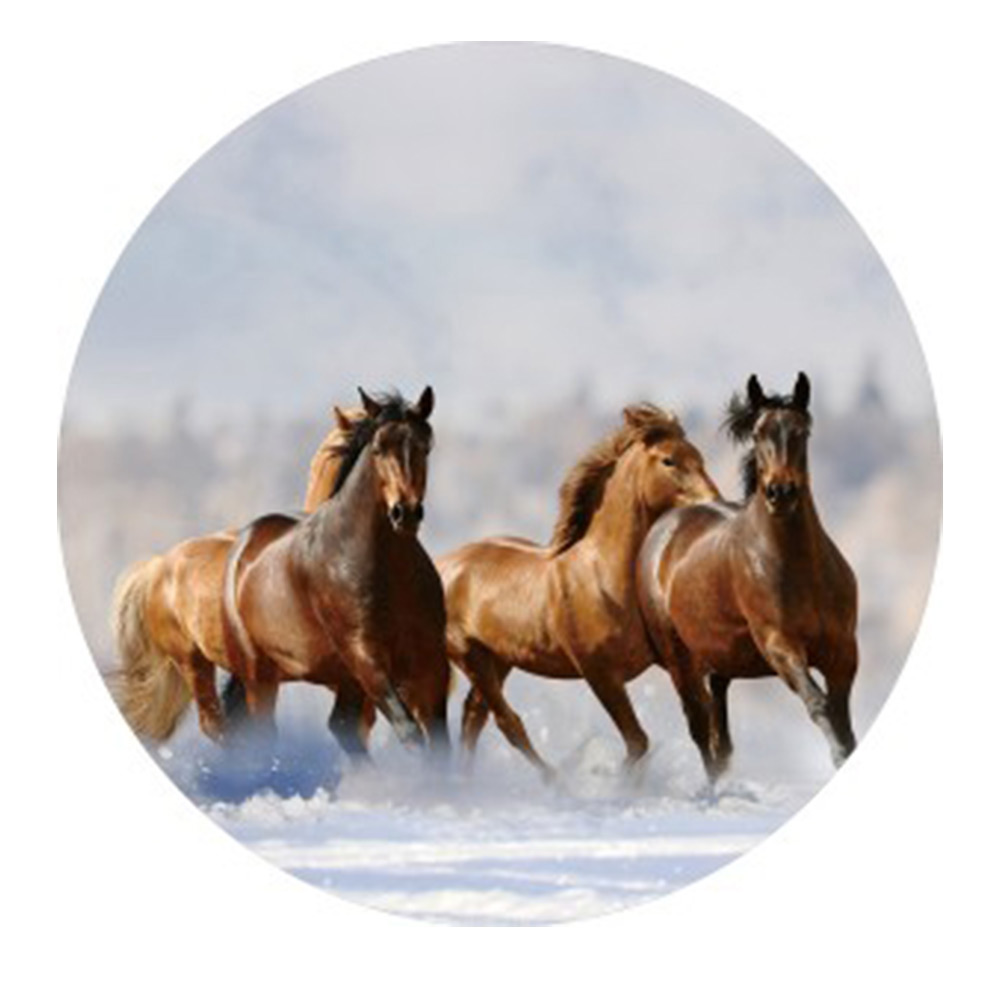 Gave Special Paarden glasplaat