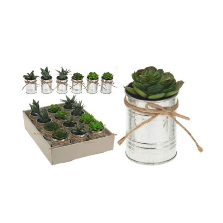 Plantje in pot zink touw